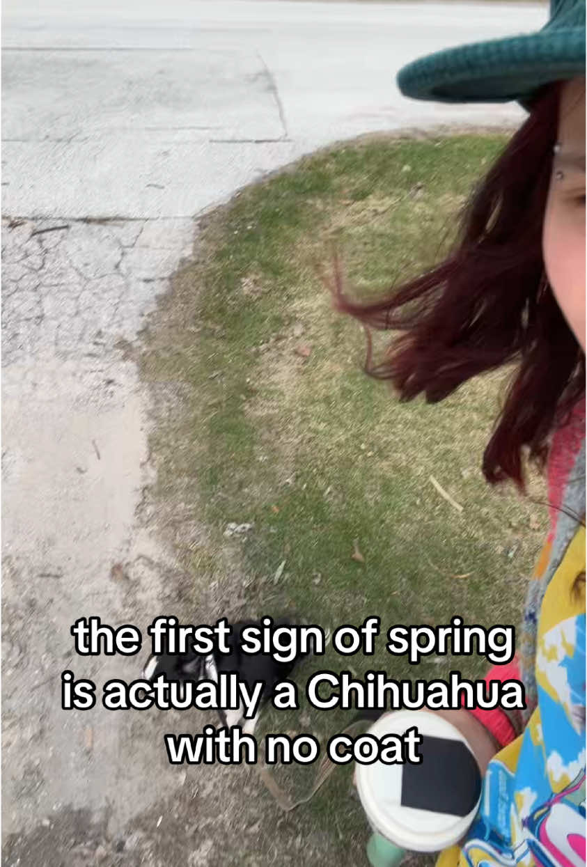 @becca