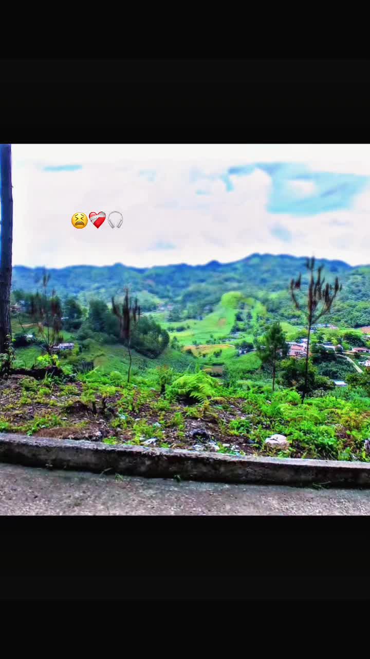 @( 🦝🧸🌟YAXCALITO🧔♂️🧃💗)