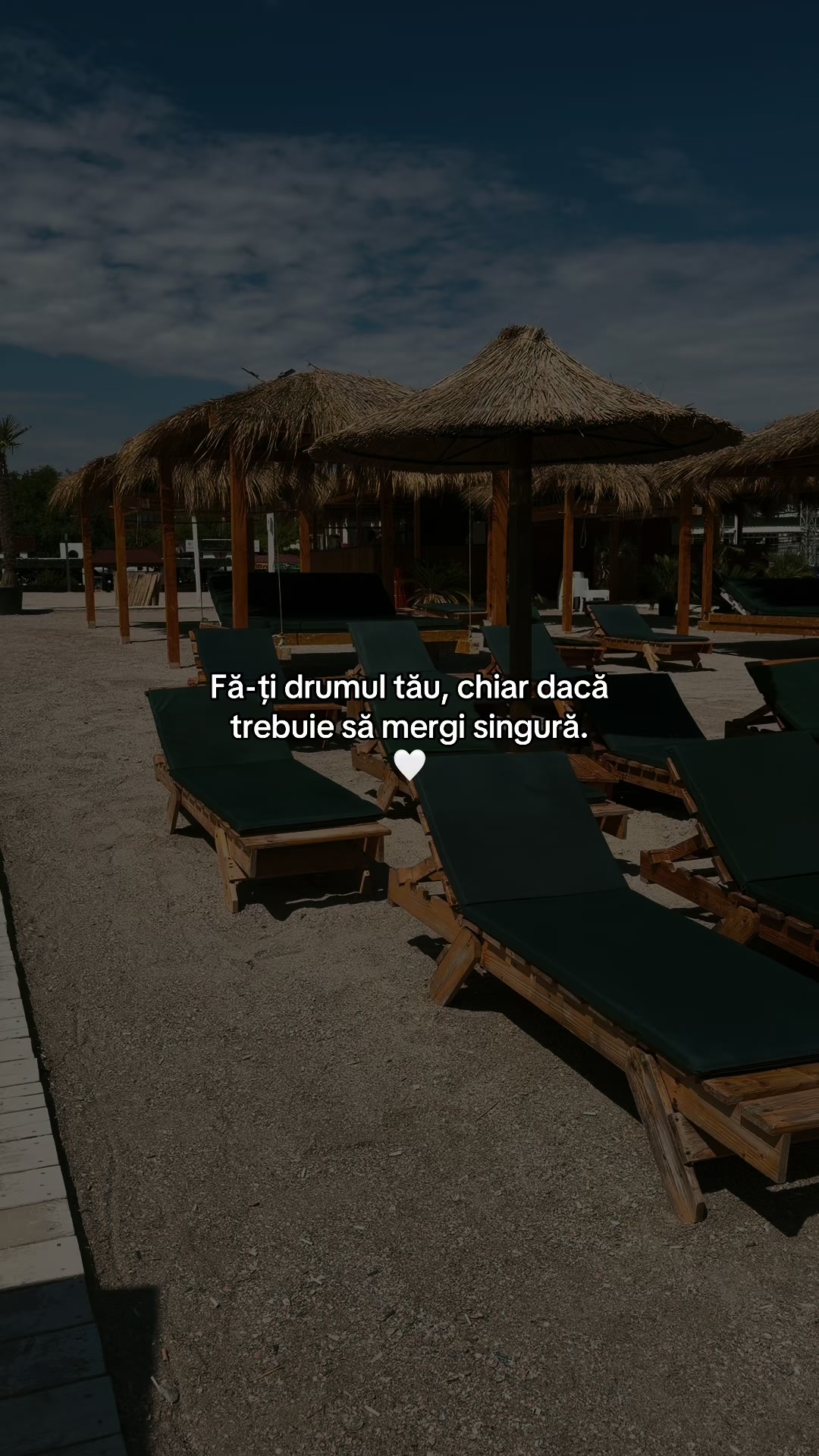@Elisa A🥥