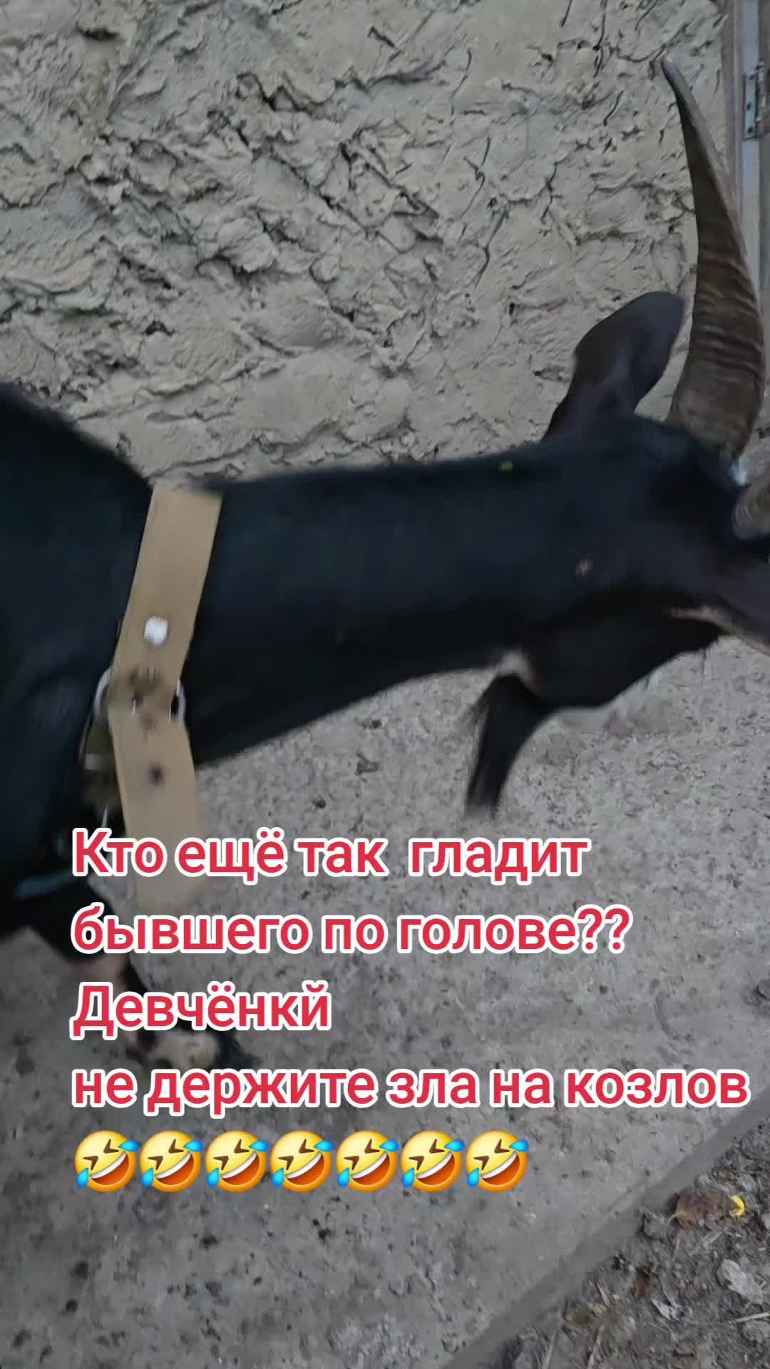 @Adelina