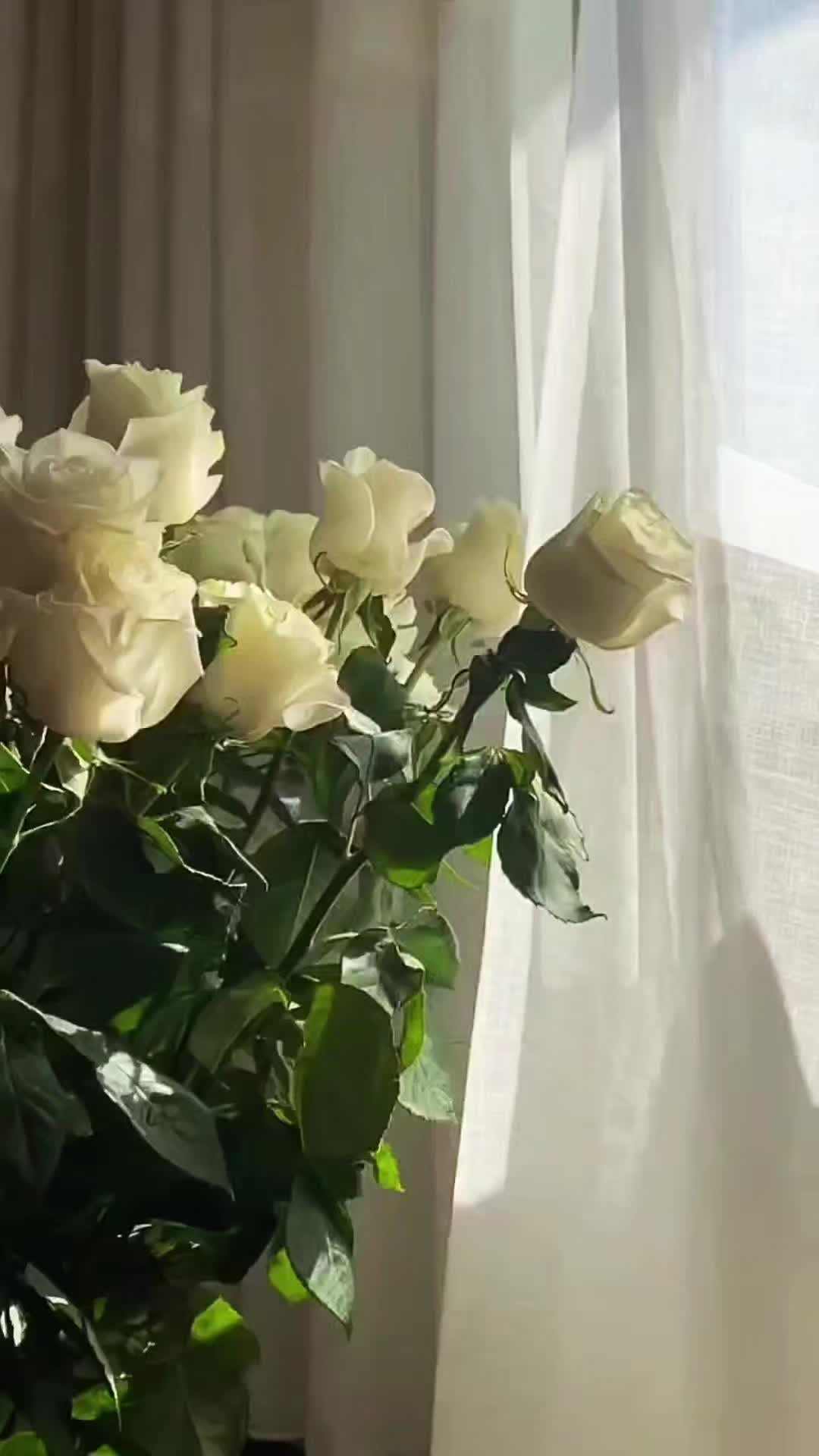 @Катя