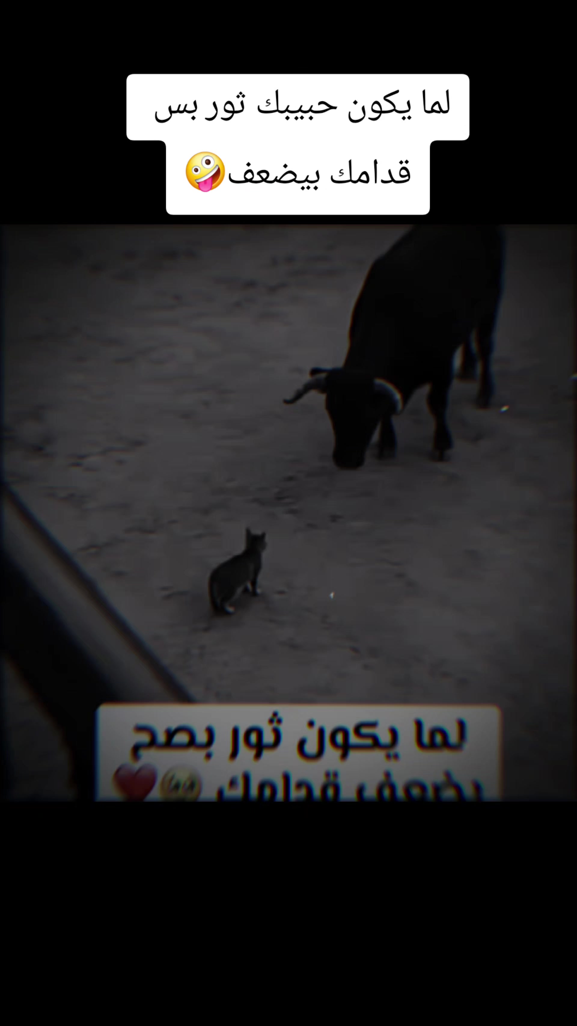 @سيلين
