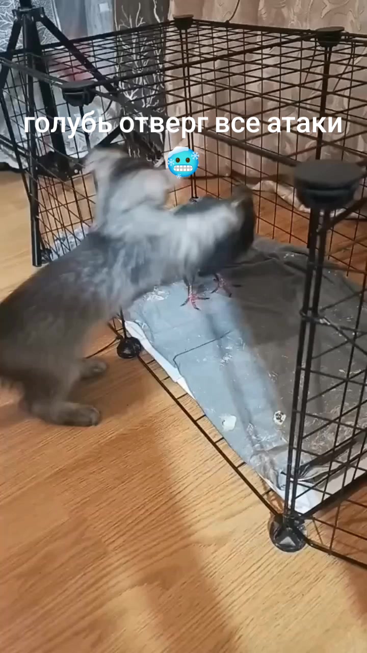 @Имя