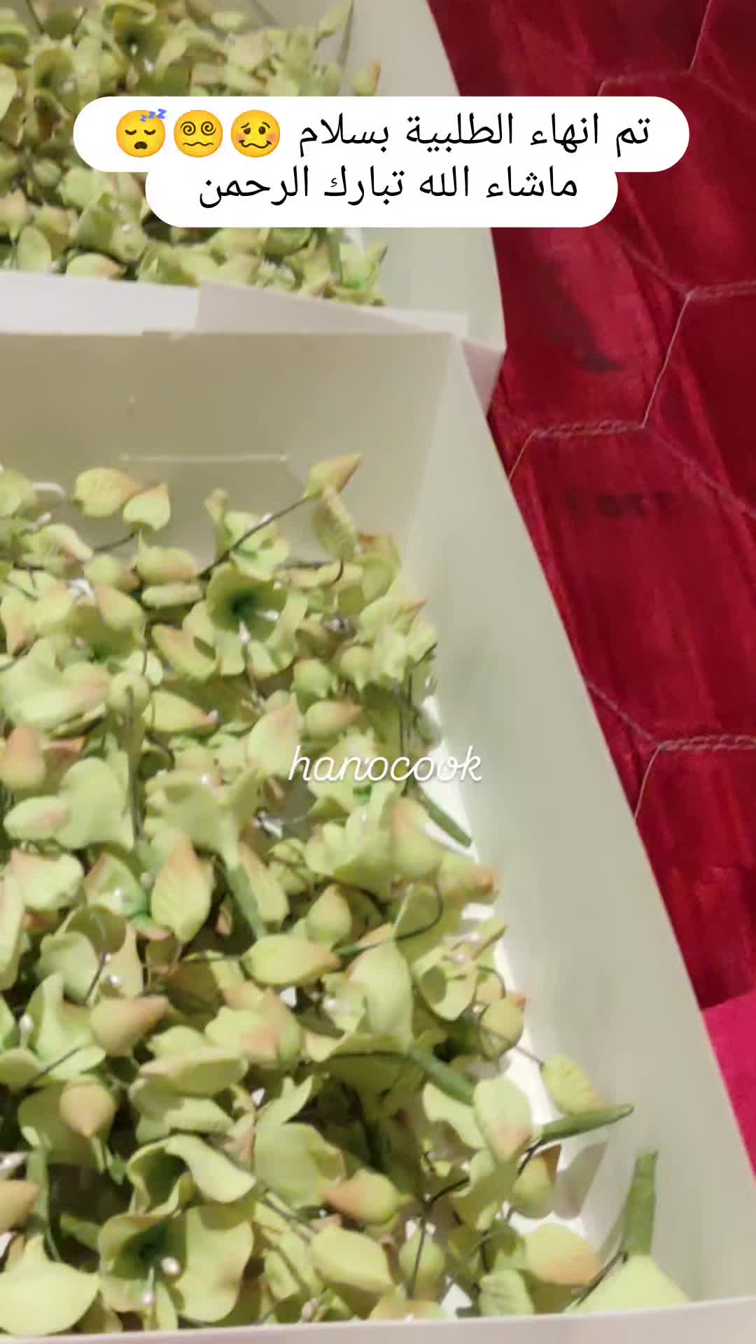 @hanocook