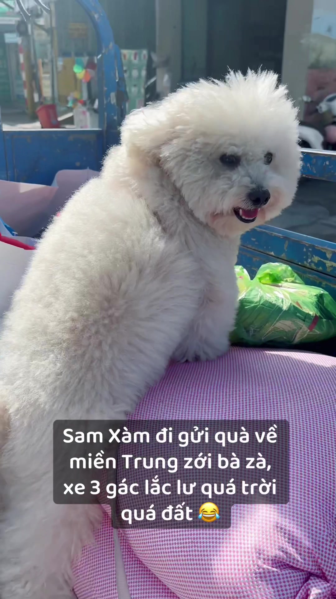 @Sam Xàm phiêu lưu ký