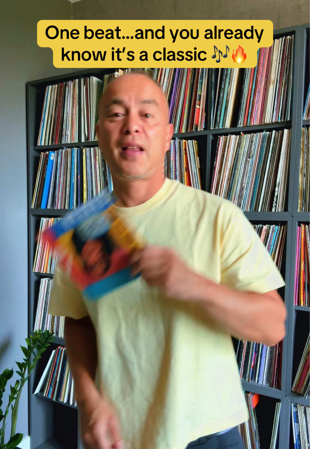 @Mike’s Vinyl Vault