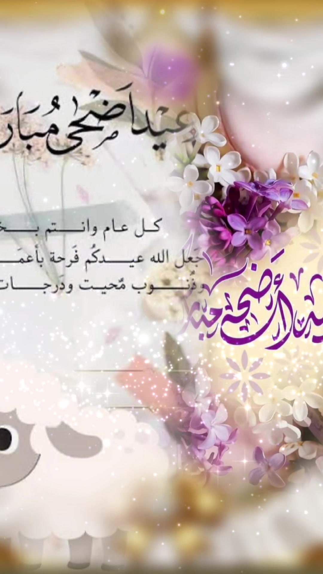 @Amoun Alkhalaf