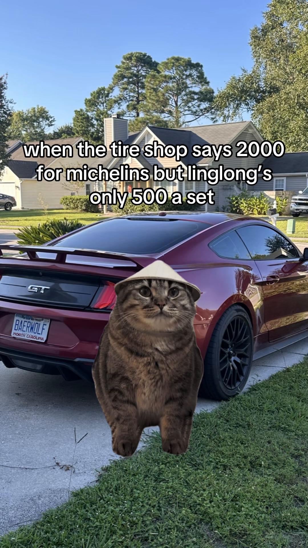 @nickbaerwolf