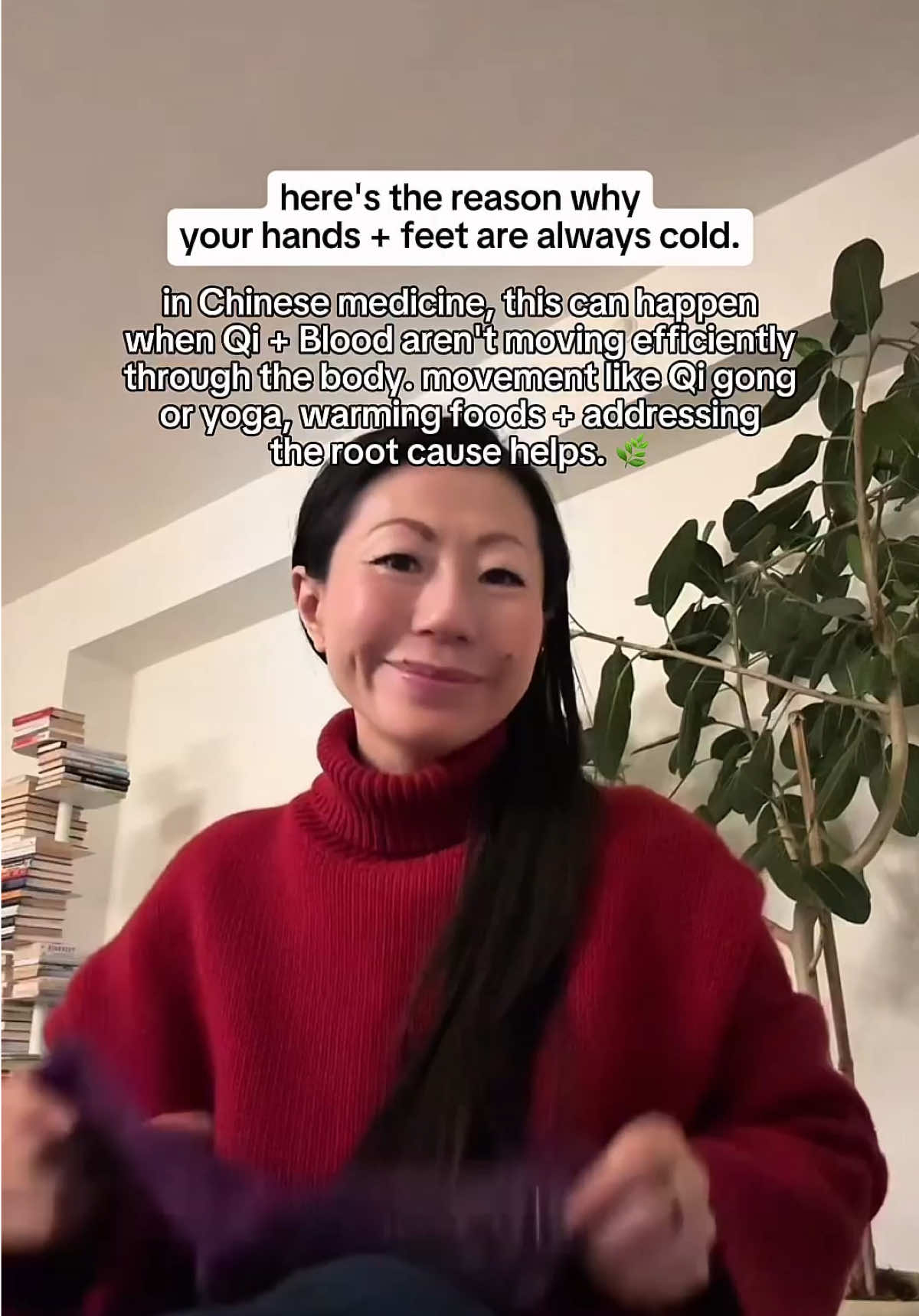 @Lulu - Elix Founder