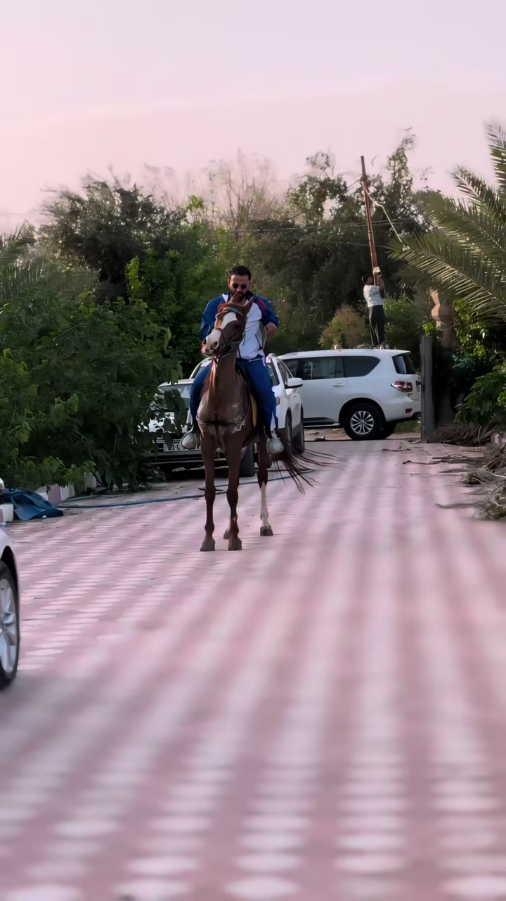 @Karwan Afrasiab
