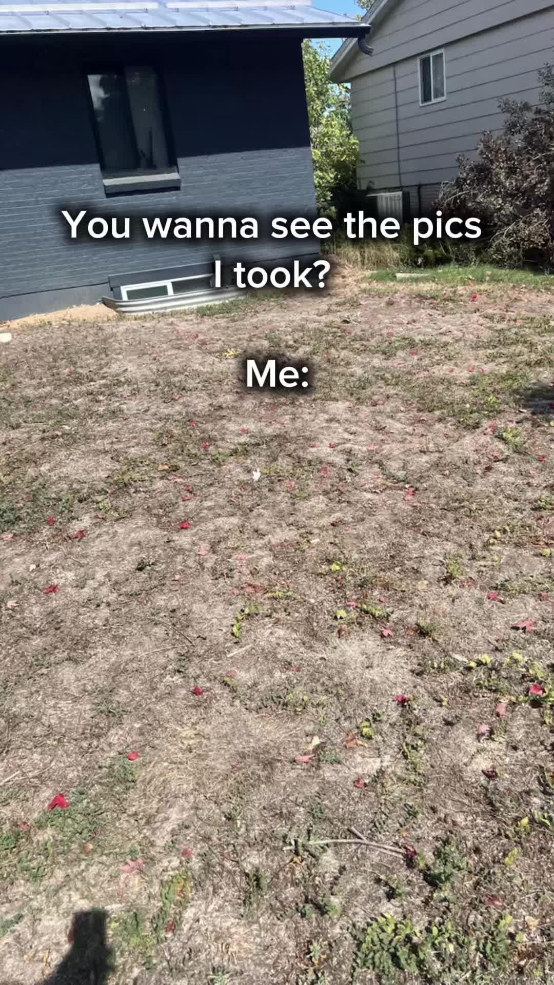 @That Saiyan Will