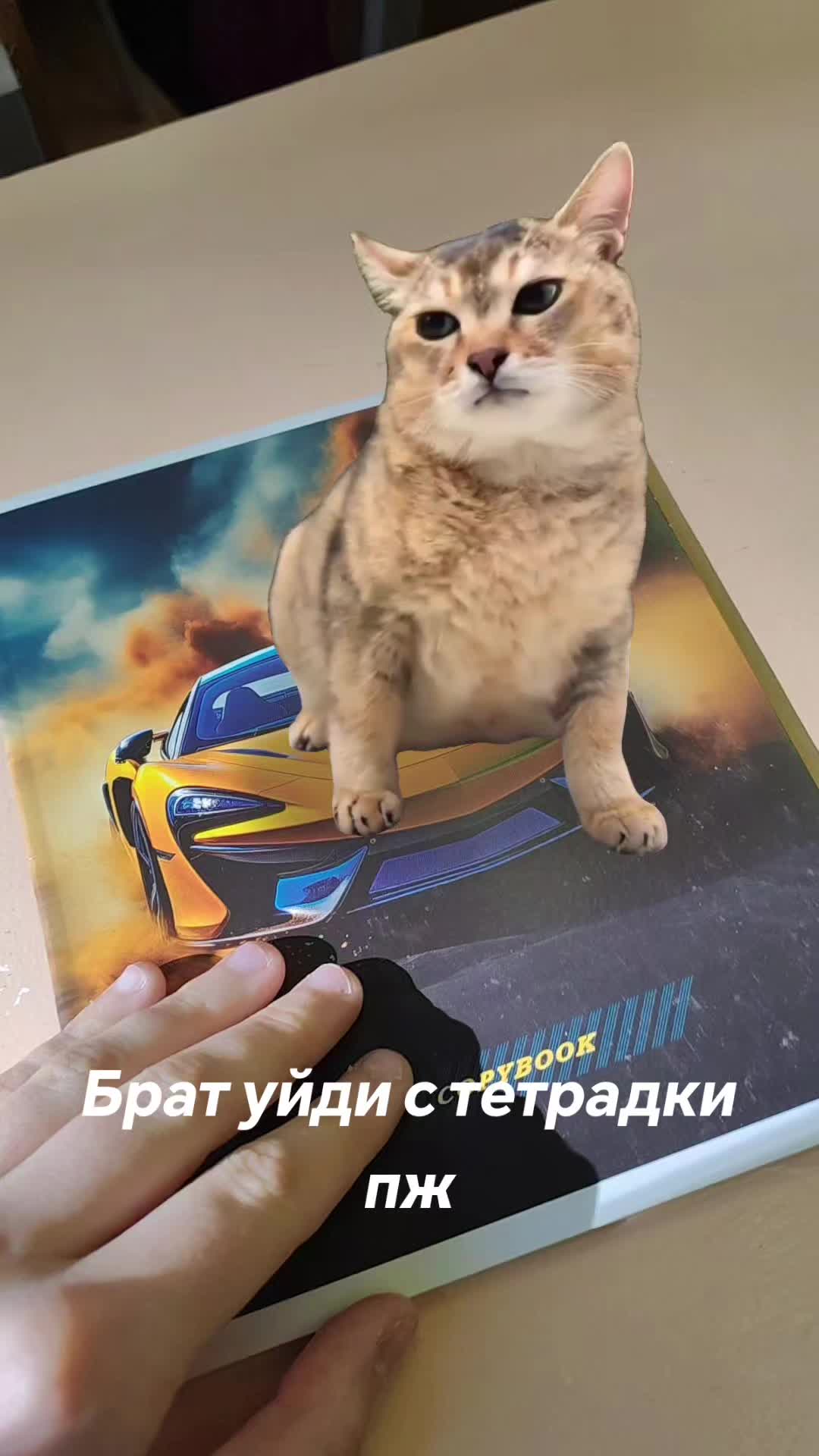 @🍉кофеинчик🍉