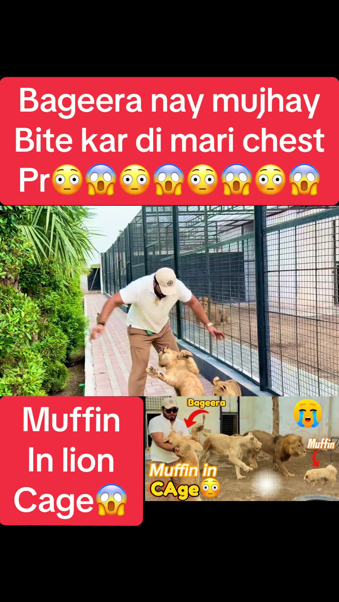 @Mian saqib