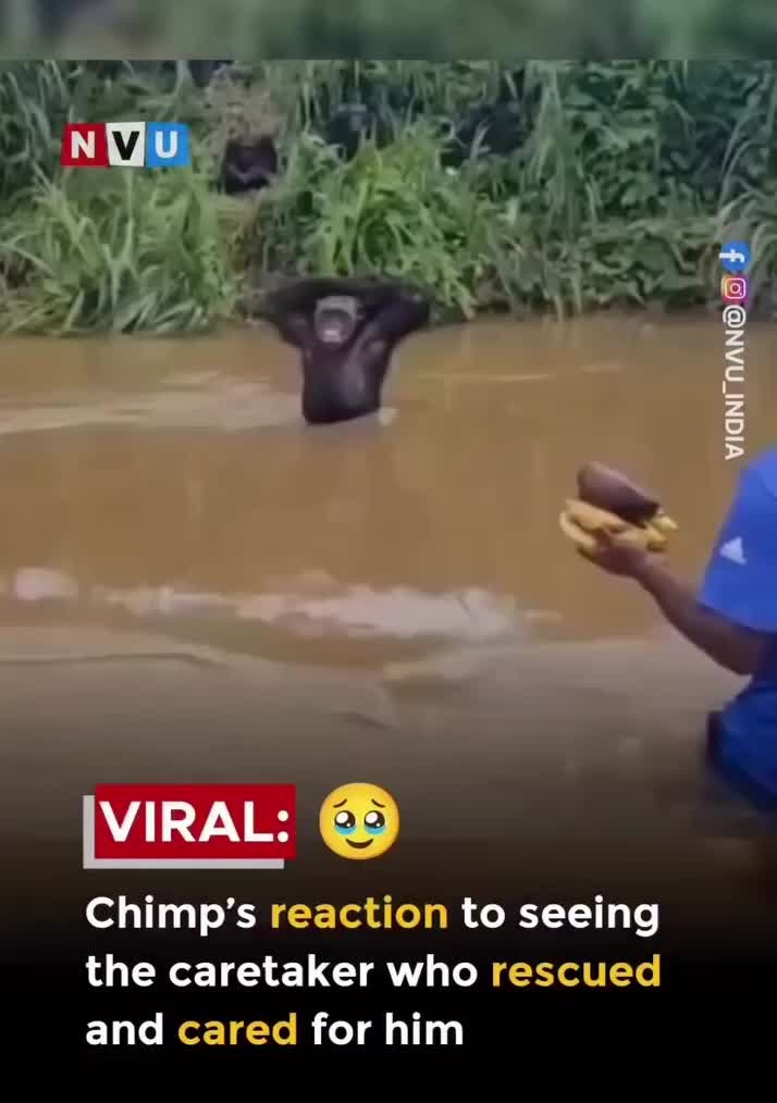 @jsmile101
