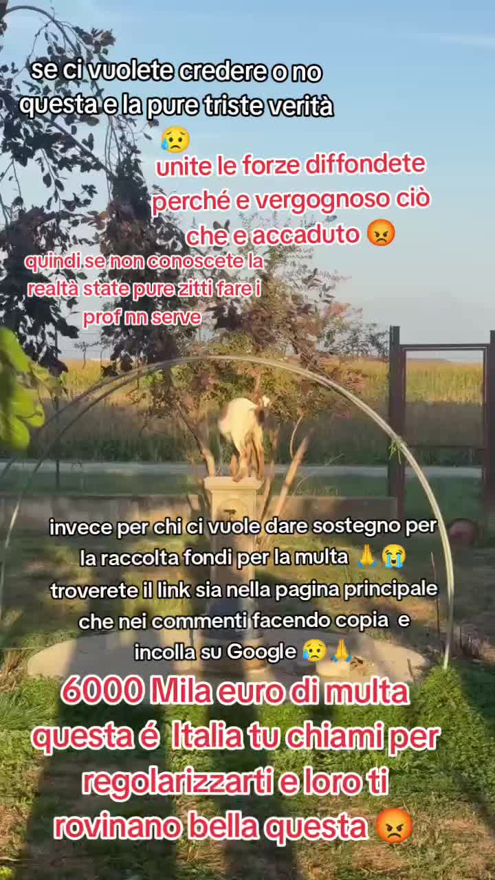 @KIRA❤️LEYLA💙