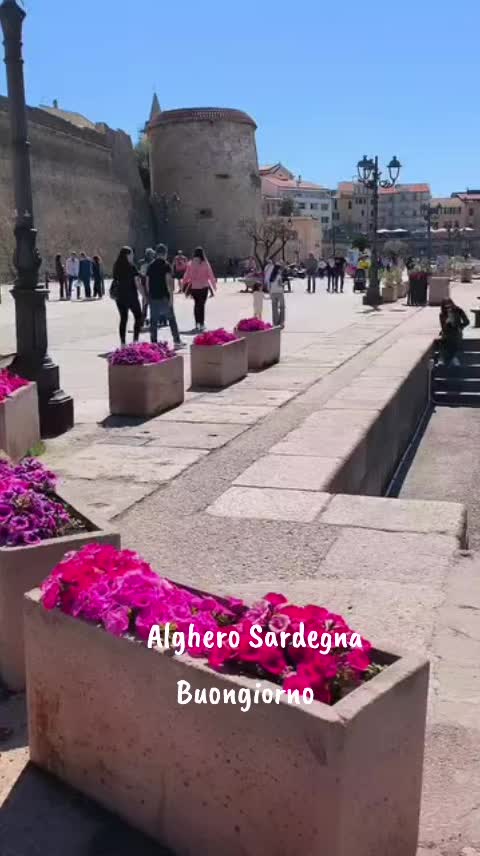 @Antonia Vecchi