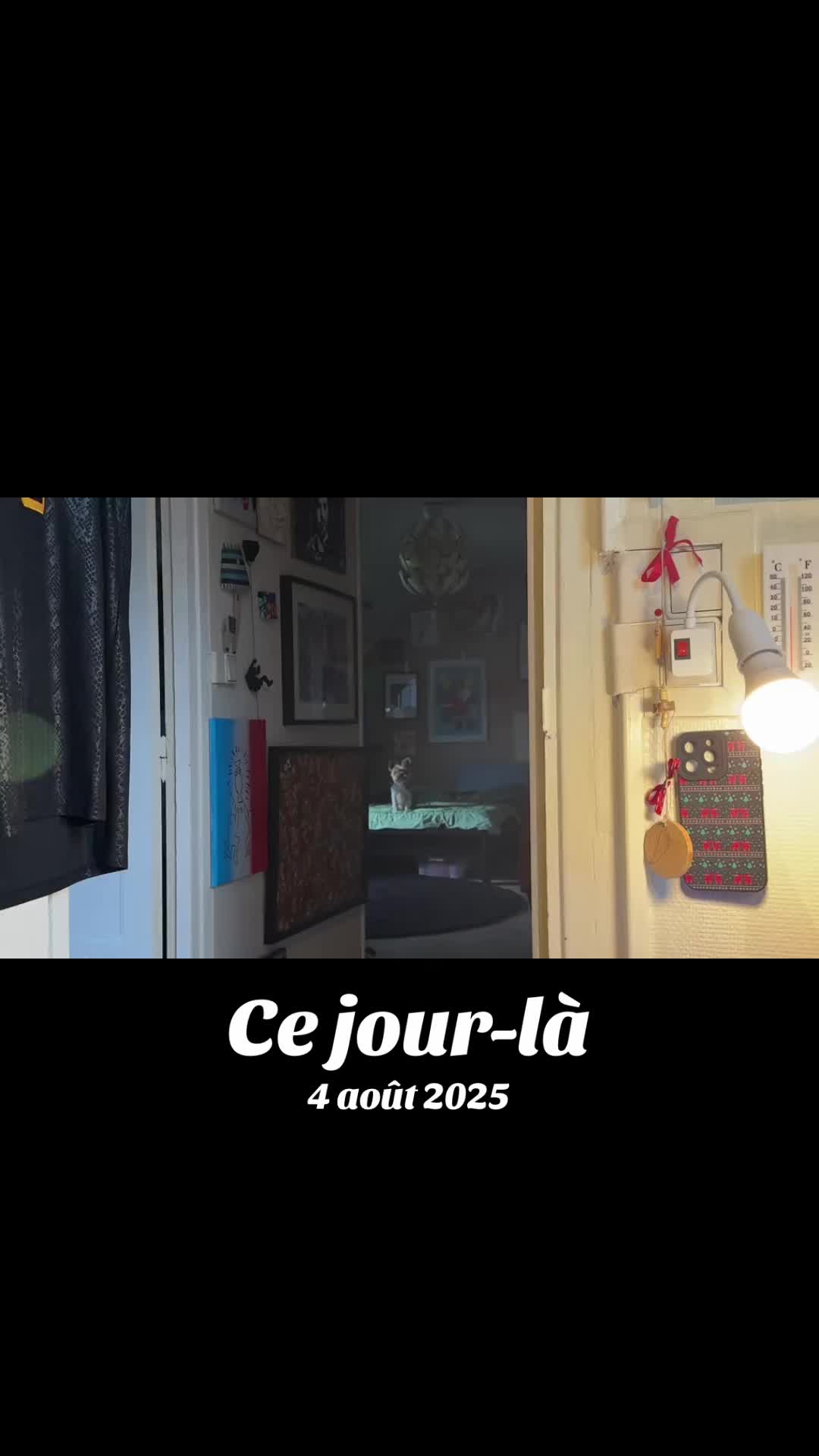 @J&eacute;r&eacute;my 🌎