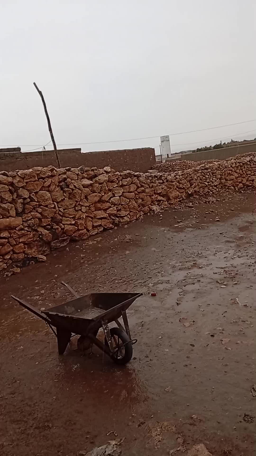 @أمي قبل كل شيئ