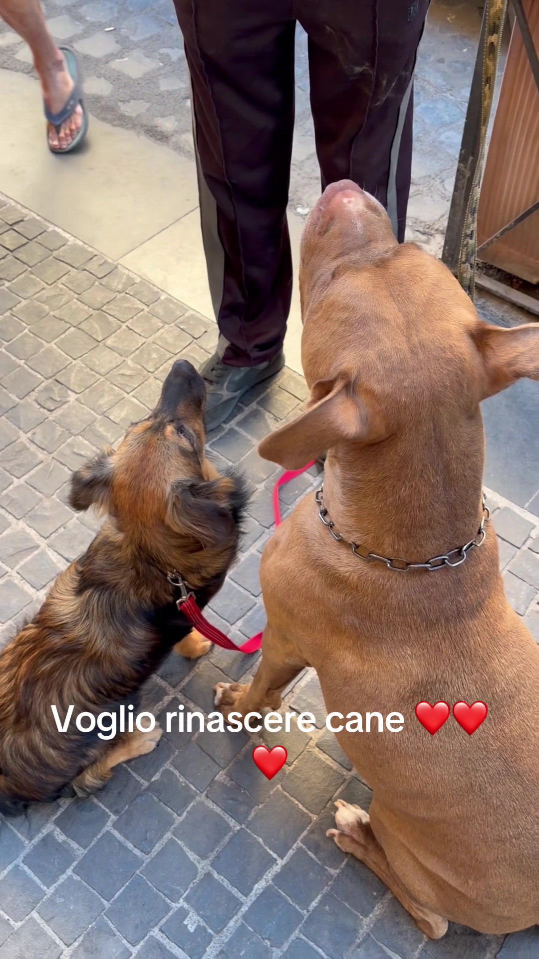 @Veronica Ridoni
