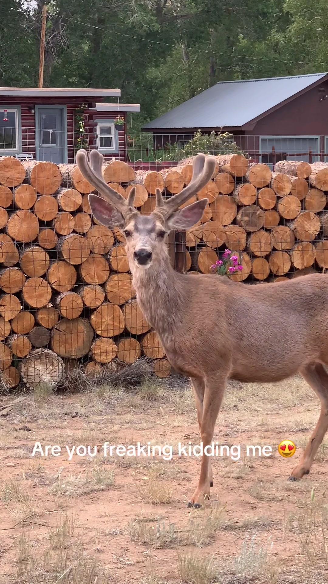 @DeYett