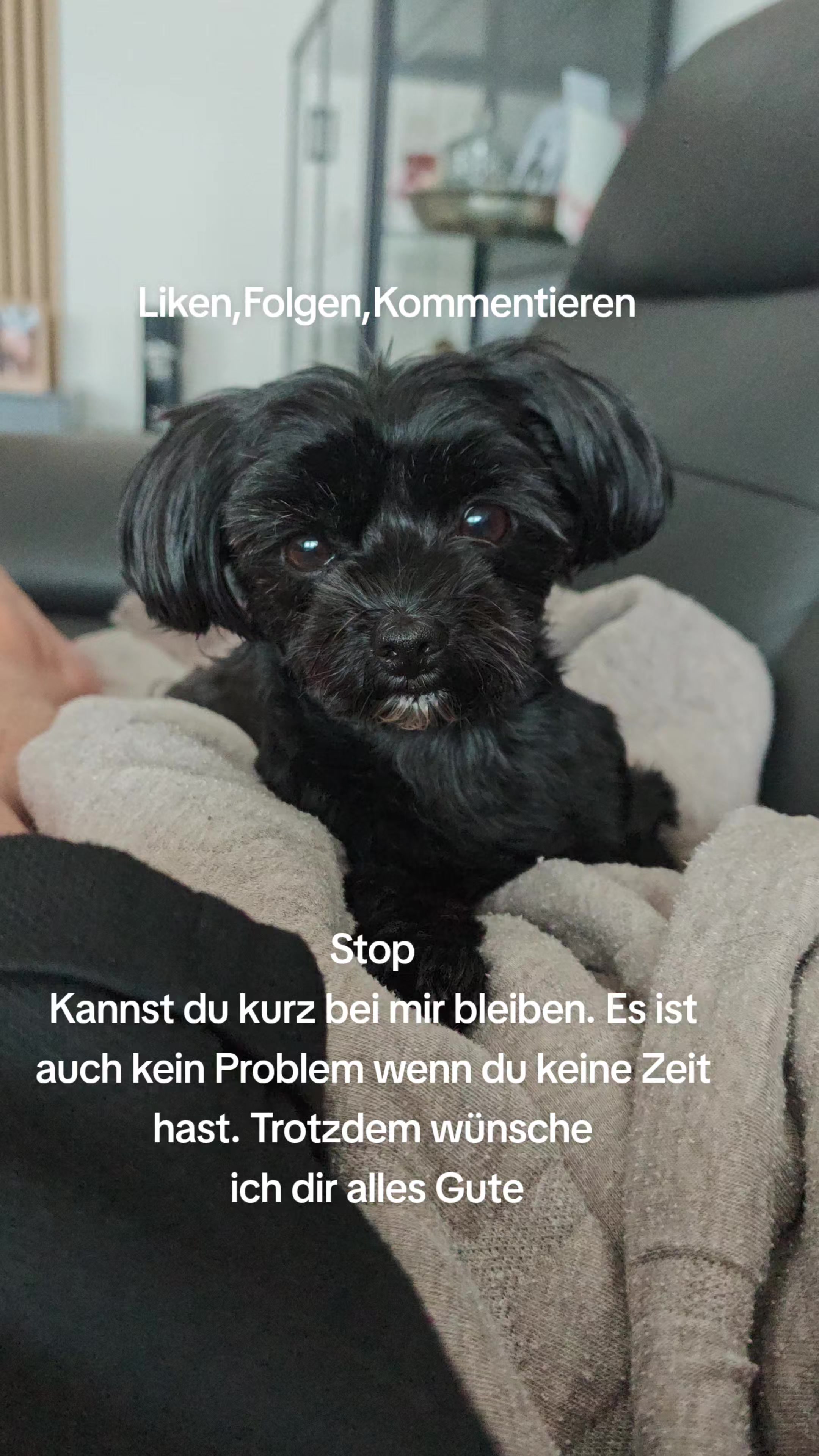 @P&ouml;ppi