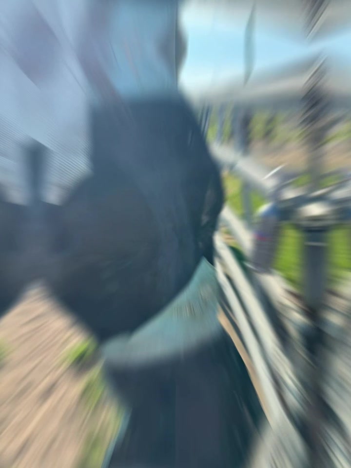 @Horselife