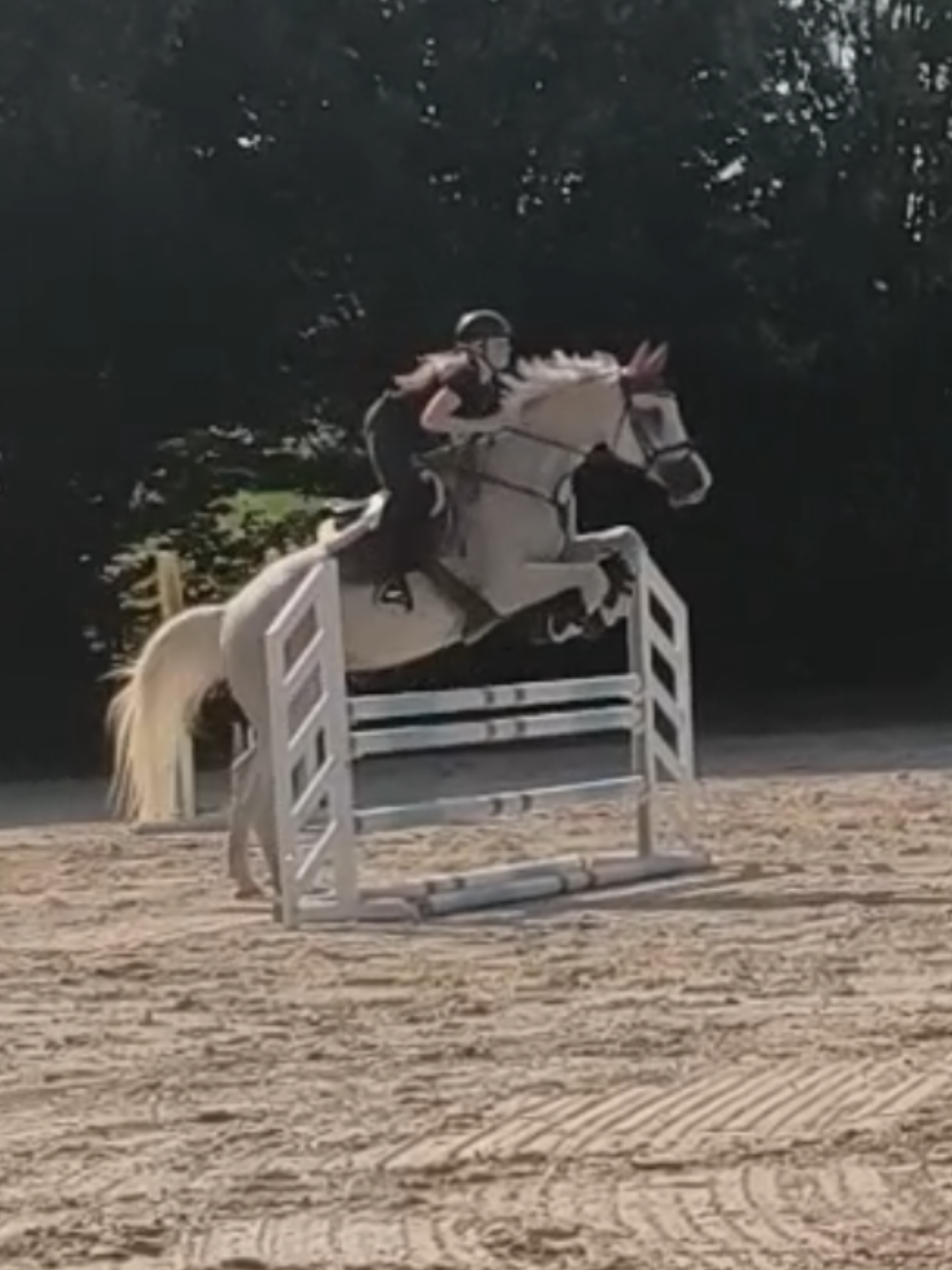 @Spring"Pony"Casha