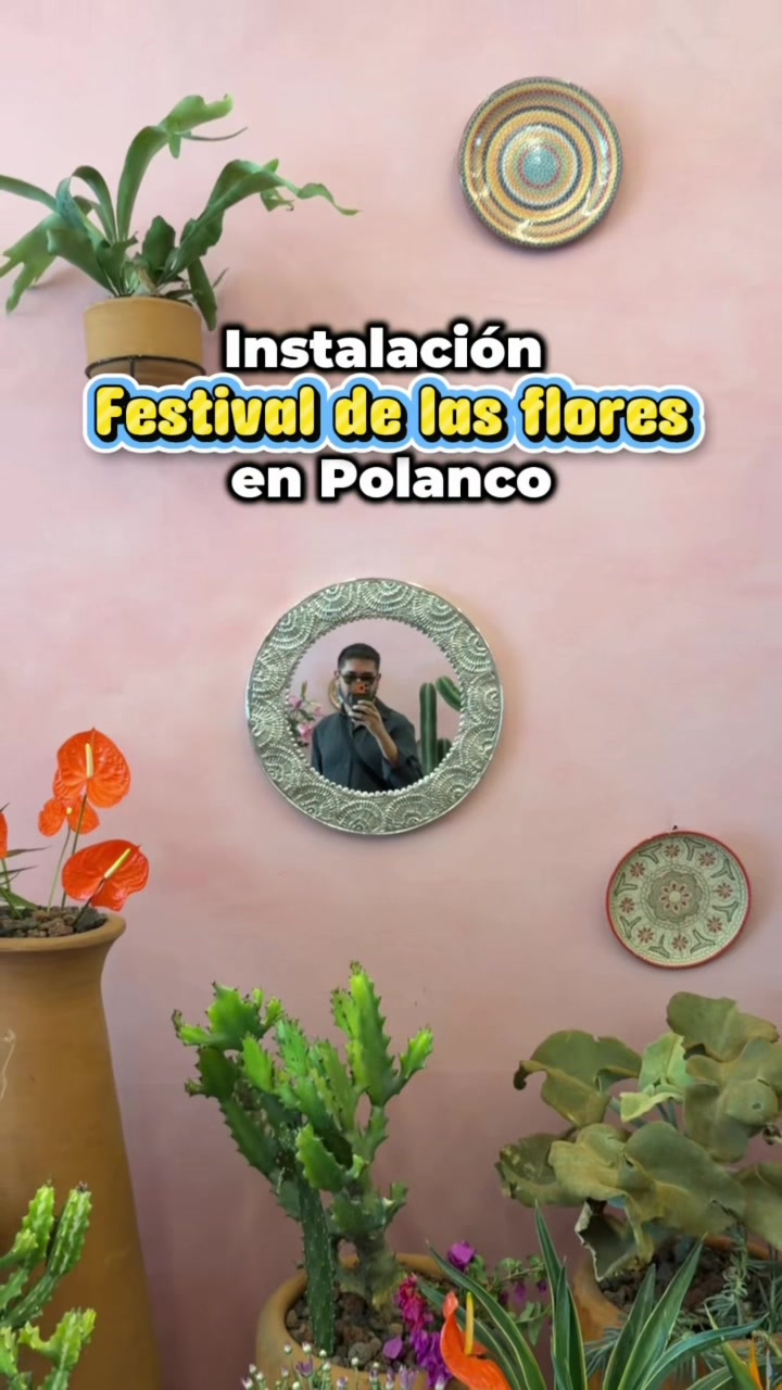 @BitacoradeJoe