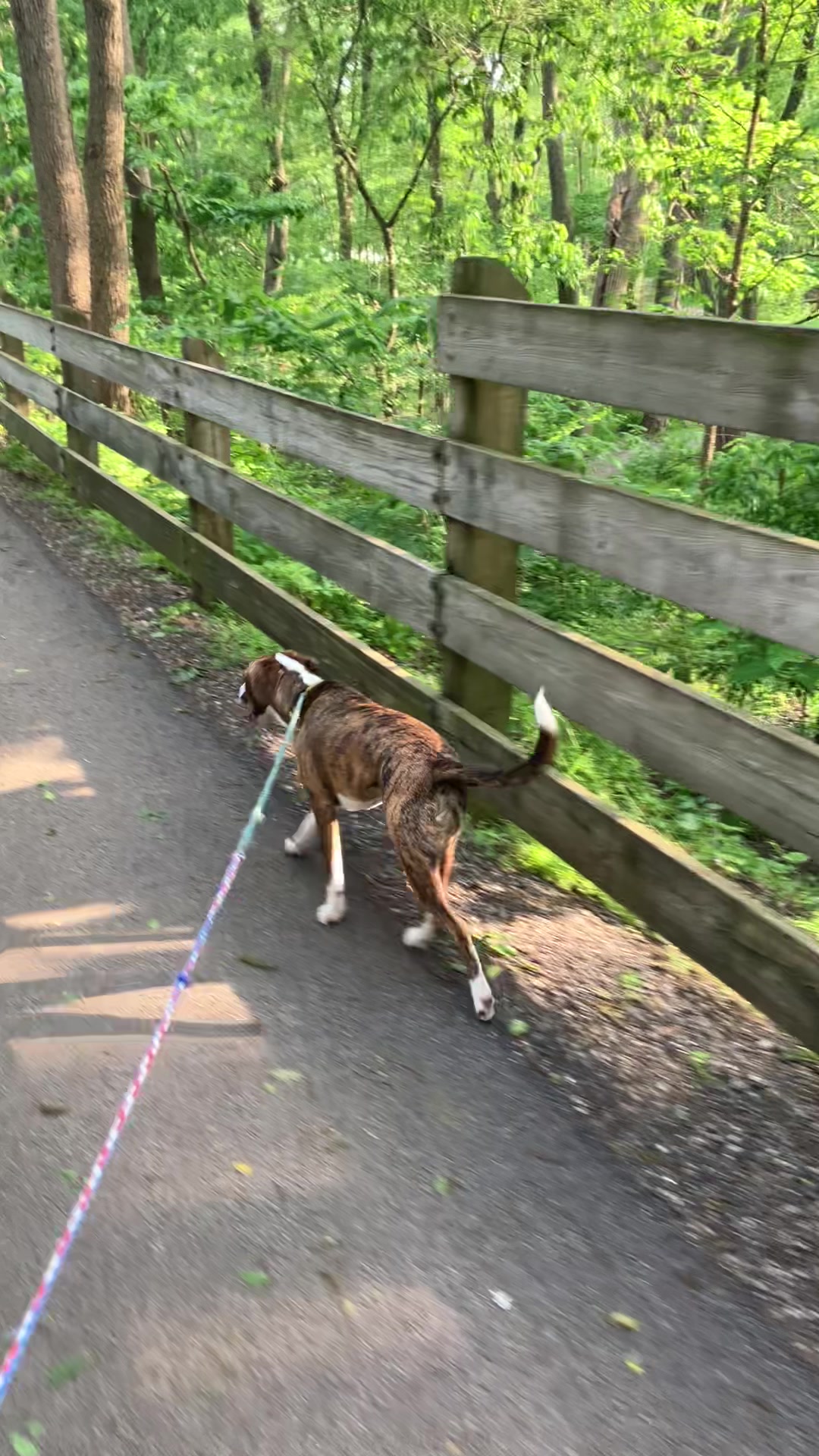 @Hikingwithstanley