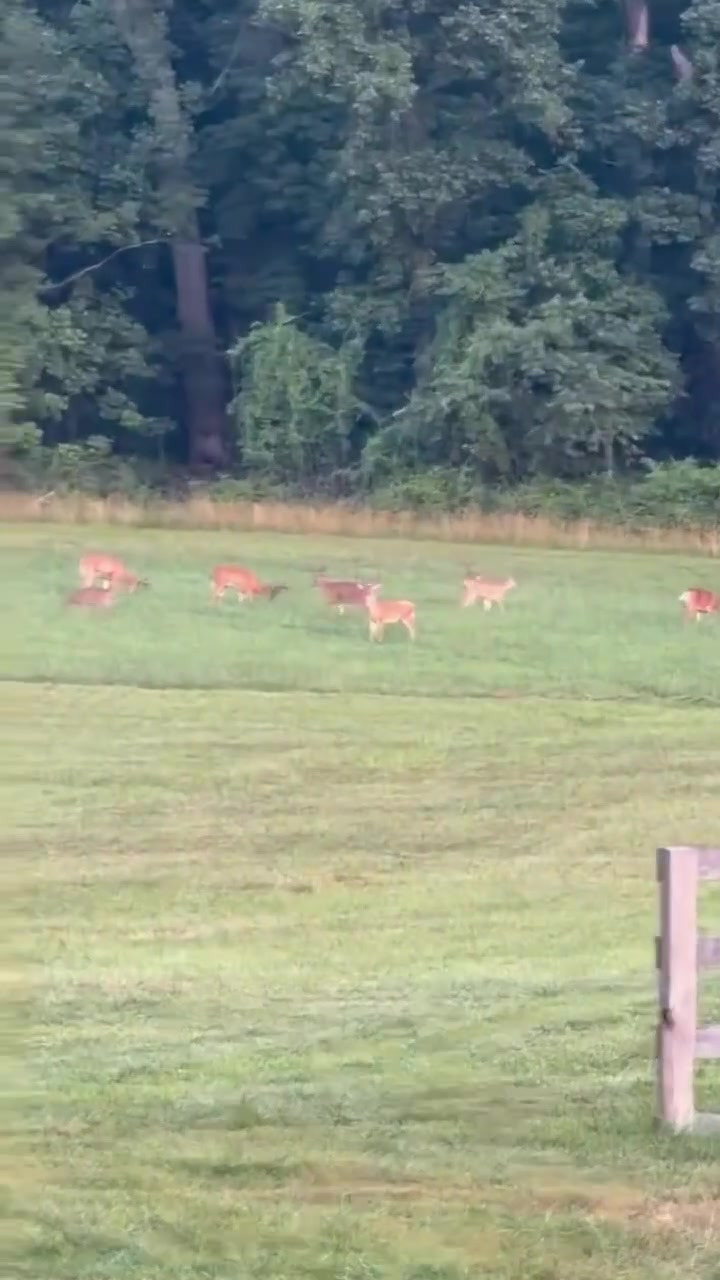 @Buckmasters Outdoors