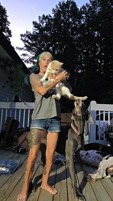 @TattooMisfit