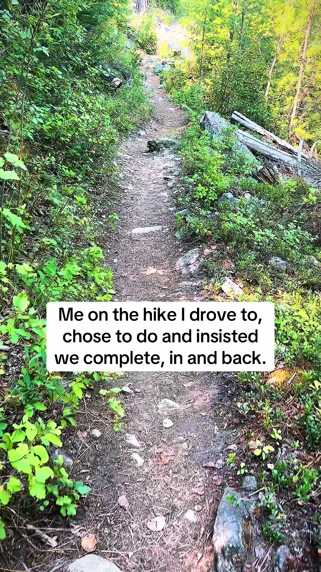 @lawyer_in_the_wild