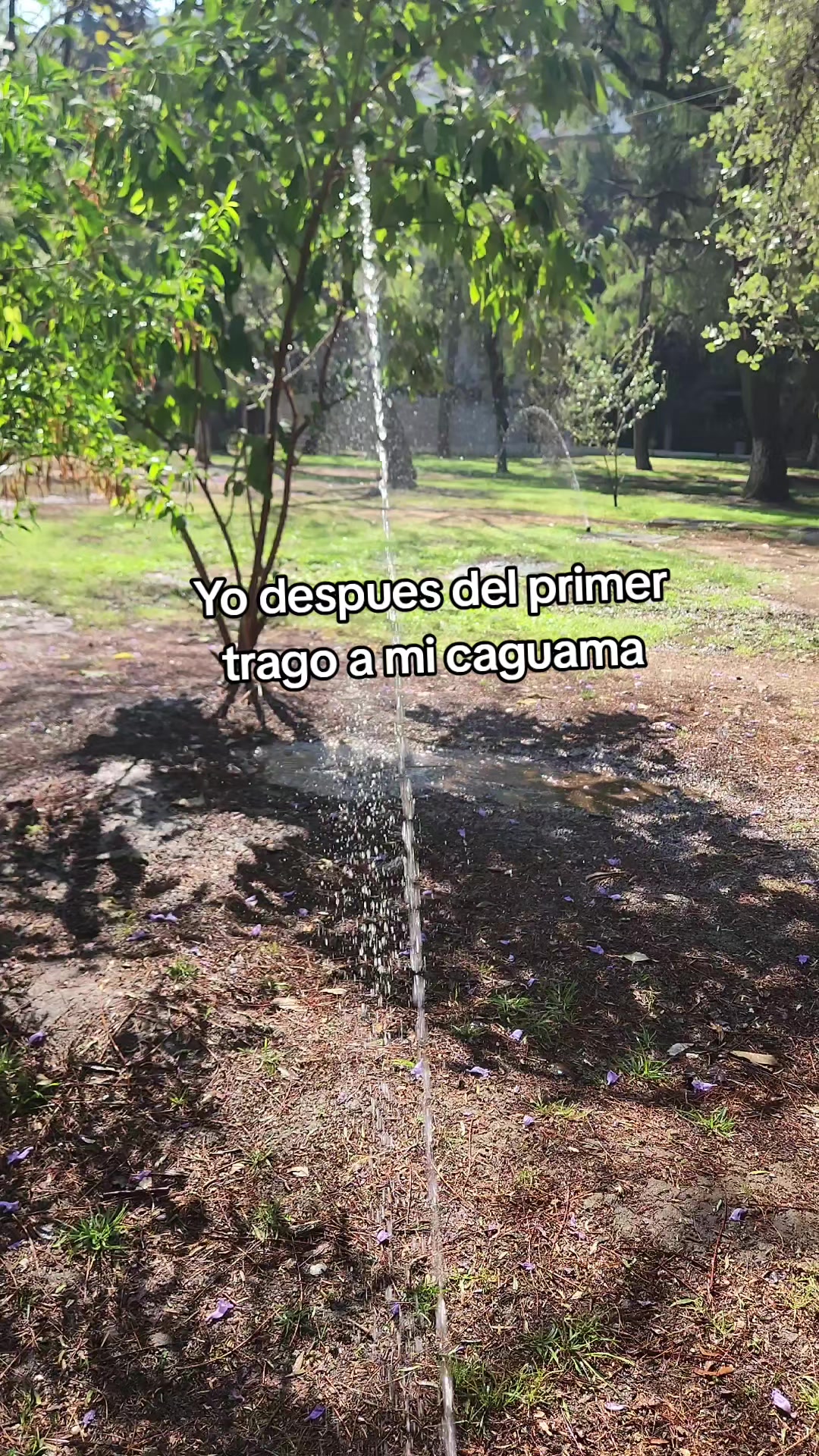 @Javierang08