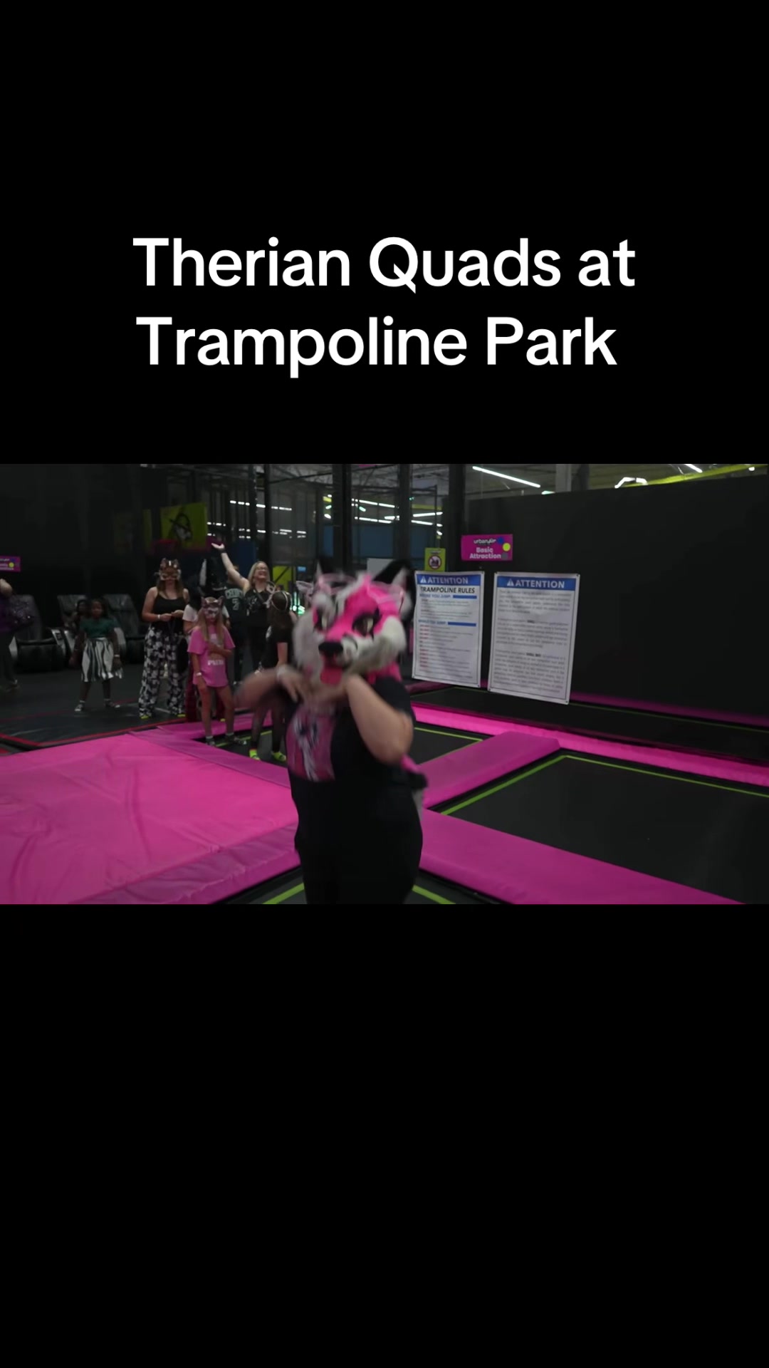 @pinkgeminihuskyofficial
