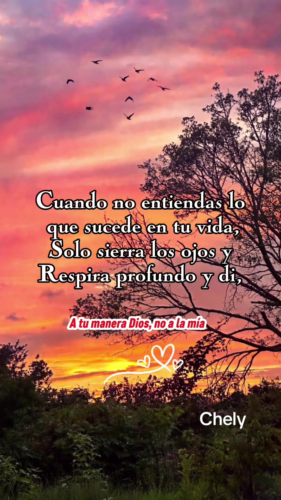 @Chely Lopez ❤️