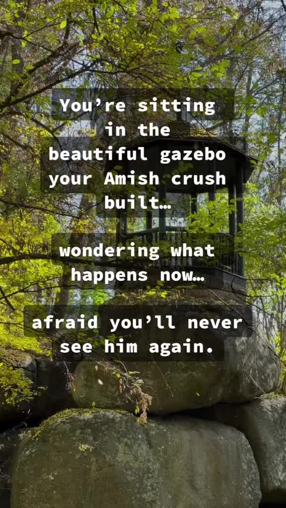 @amish.romance.reads