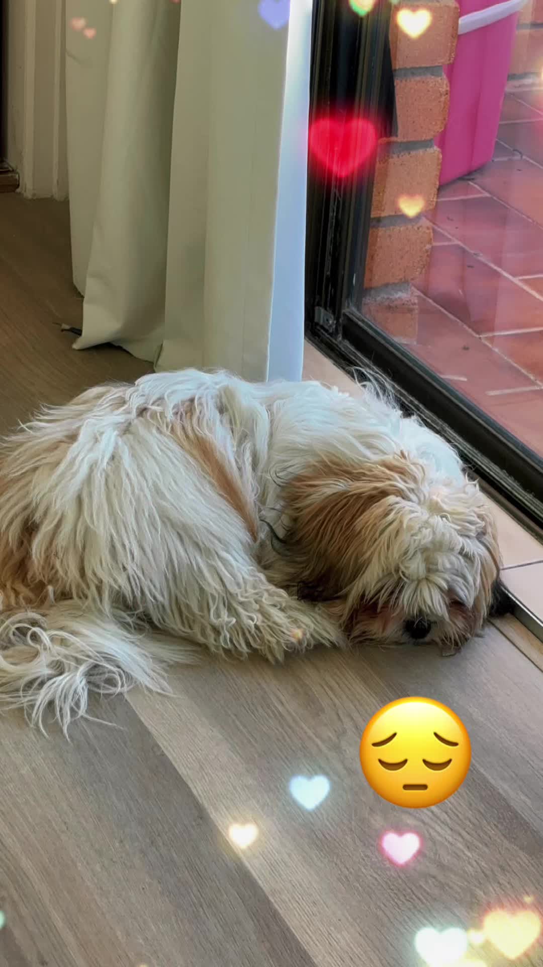 @SmileySarah32 🤡
