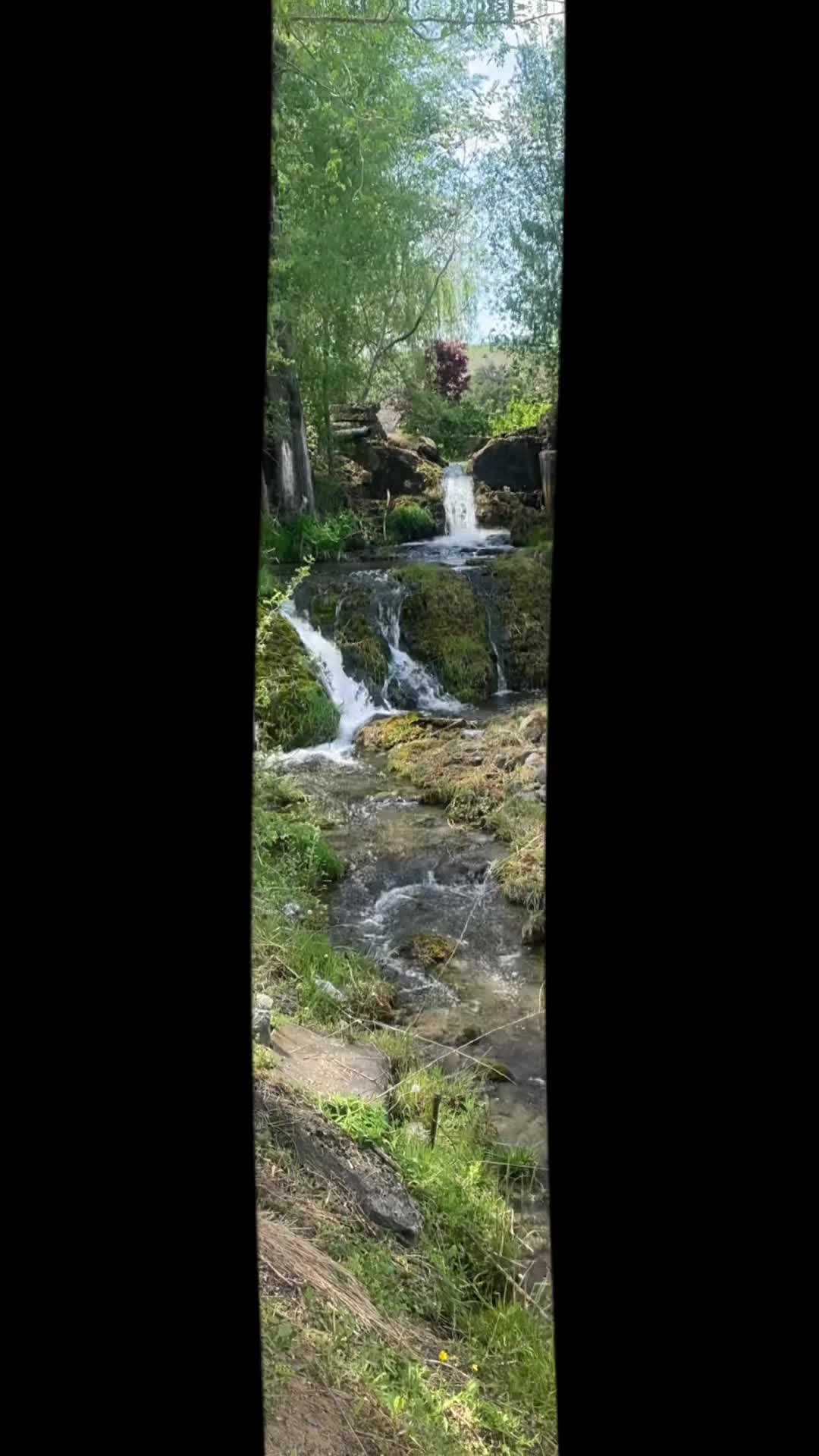 @Steve
