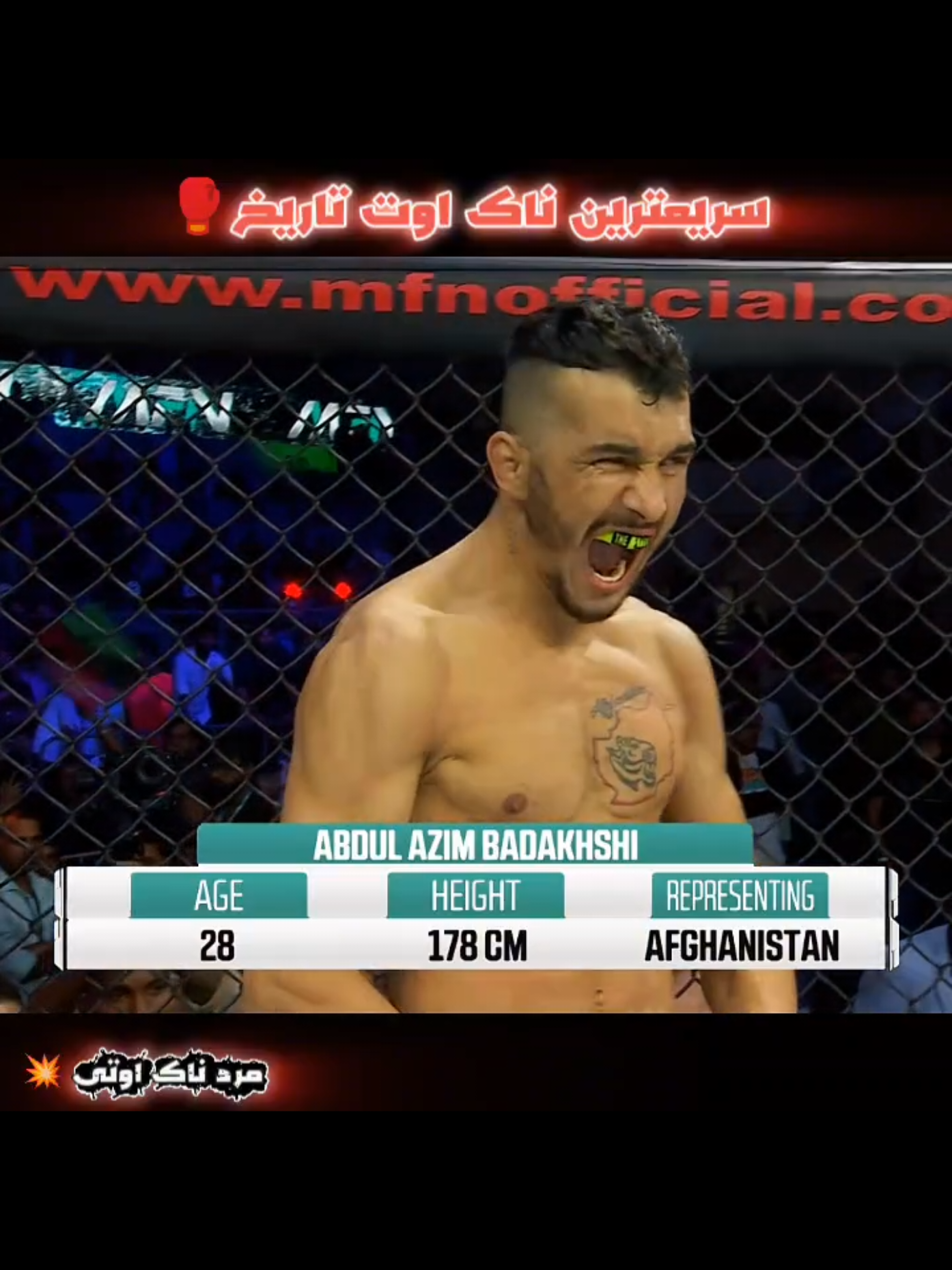 @Fight Show Pluse