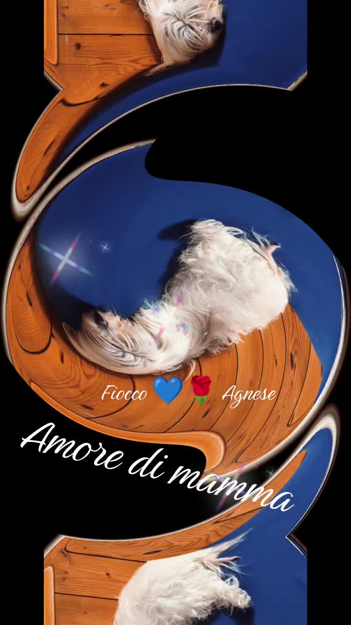 @la.musica.nel💙🎣