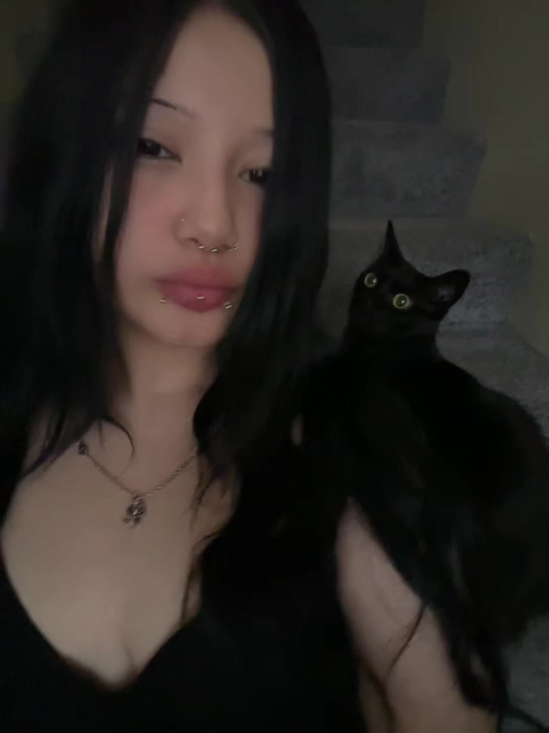 @mimi