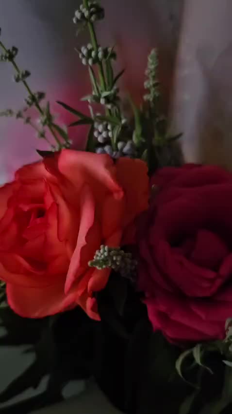 @🎀Emy🎀Rose