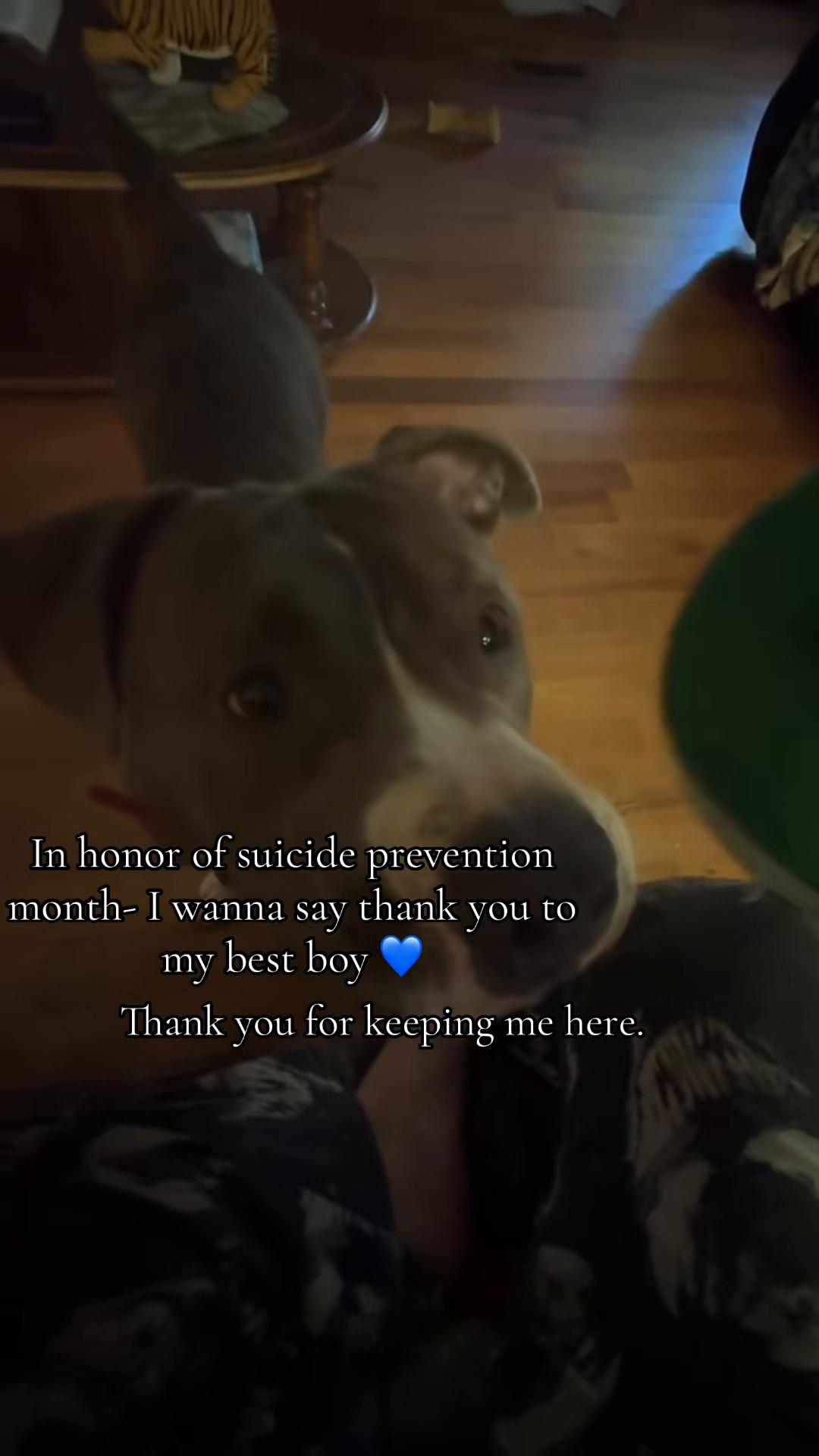 @Rae 💙🔥