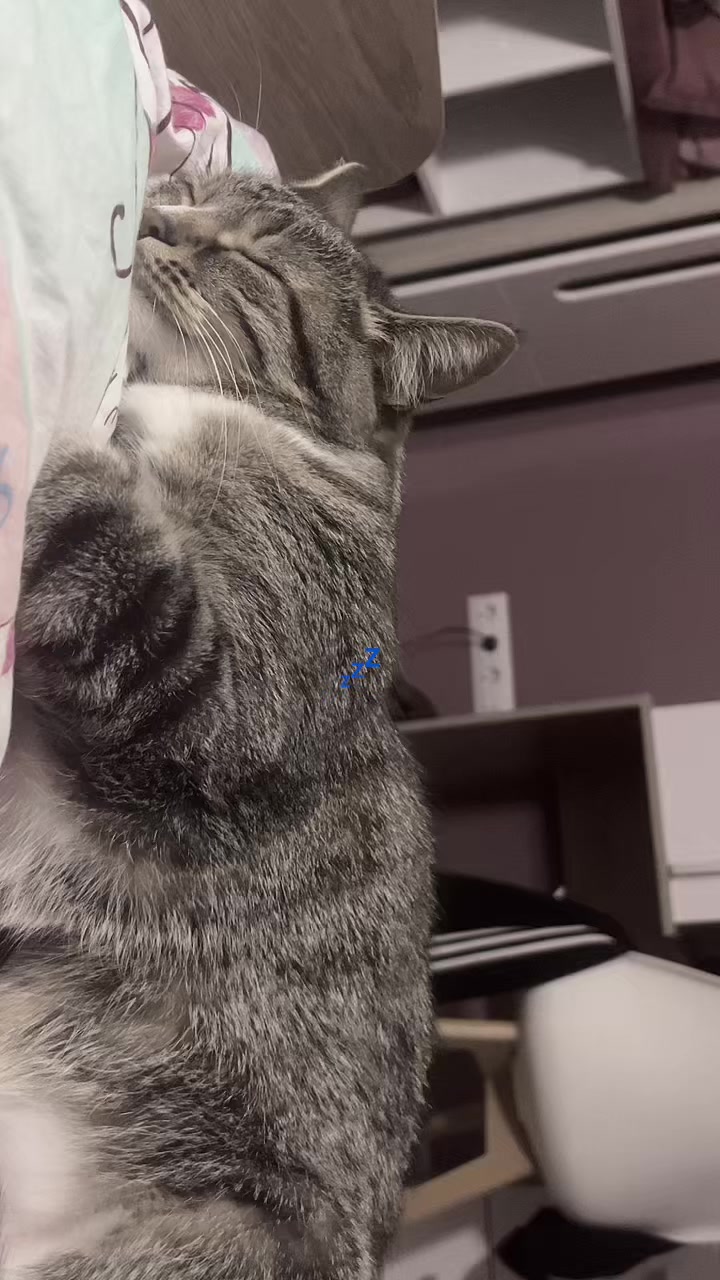 @таша спрунки 228