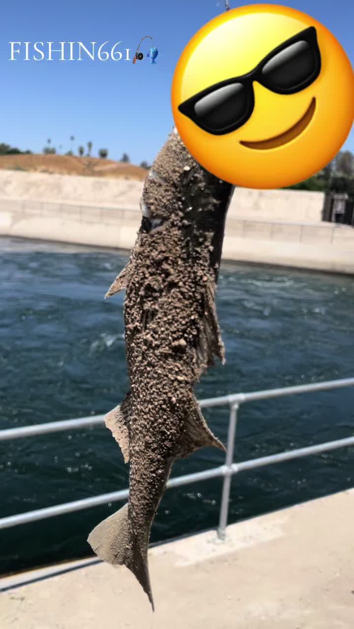 @kernfishing661_
