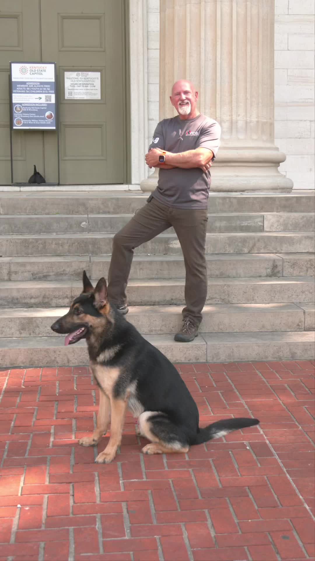@Protection Dog Sales