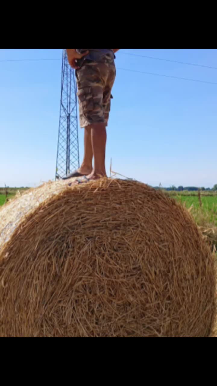 @Nico Agricoltura