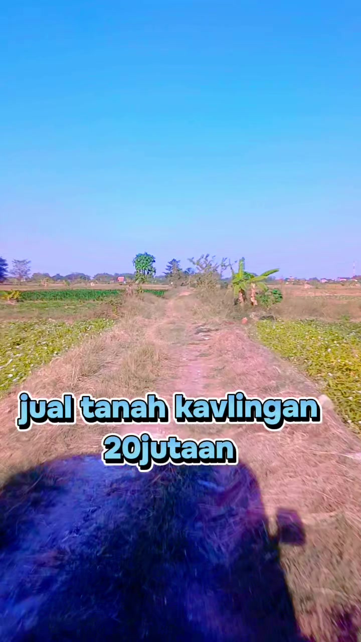 @pae_bilal