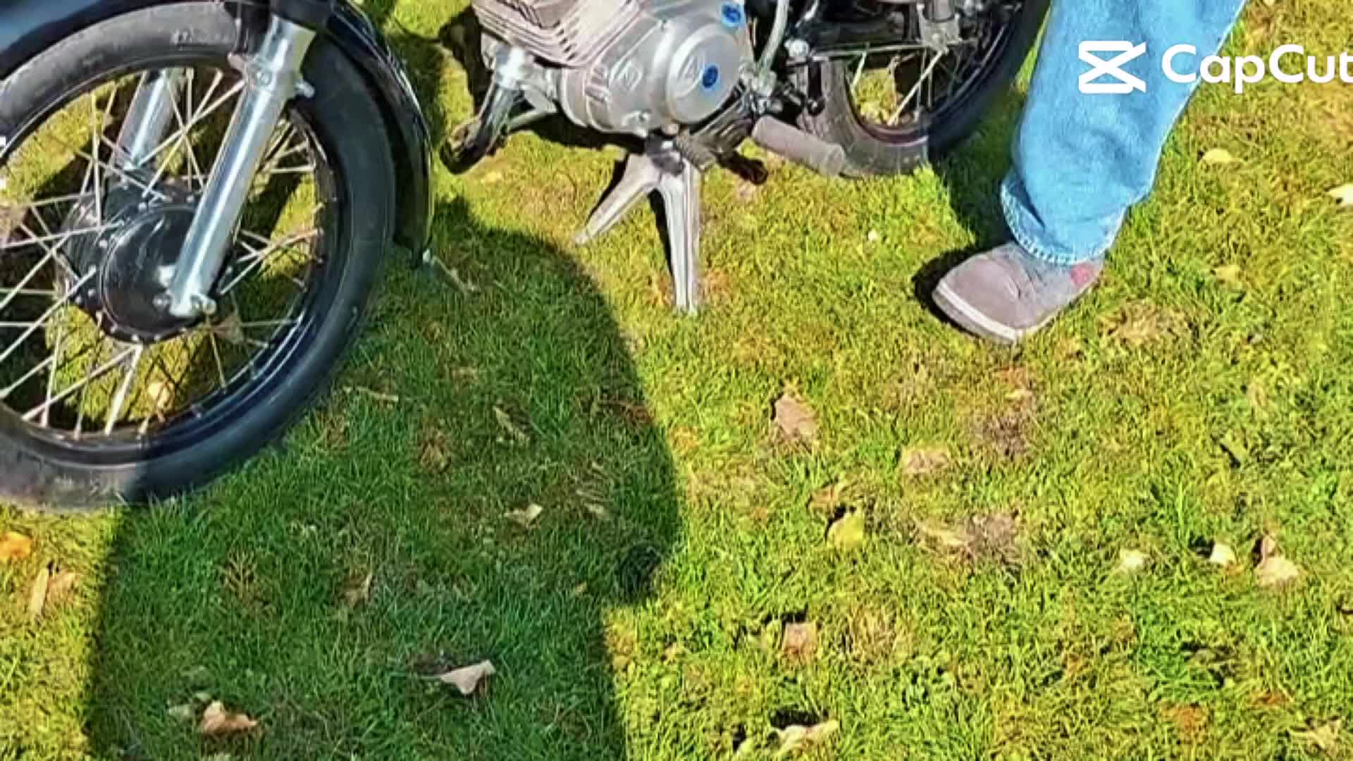 @V&ouml;gelchen🦅