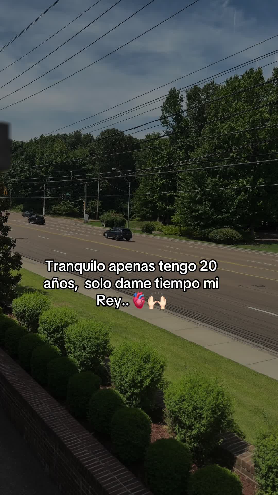 @rolitas502🇬🇹